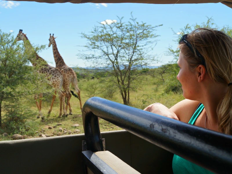 afrika tanzania safari giraf
