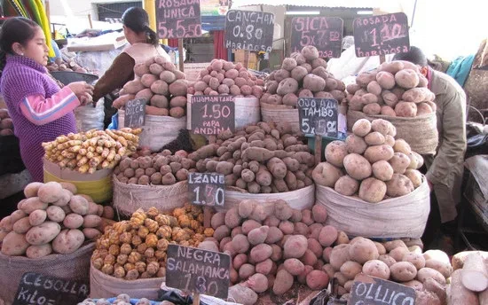 Marktkraam met zakken vol verschillende soorten aardappelen en handgeschreven prijsbordjes.