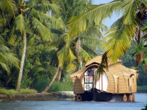 Traditionele houten woonboot vaart tussen de palmbomen op de rustige backwaters van Kerala, India.
