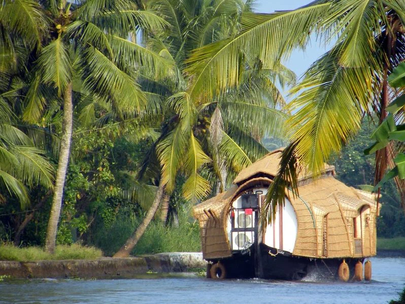 Traditionele houten woonboot vaart tussen de palmbomen op de rustige backwaters van Kerala, India.