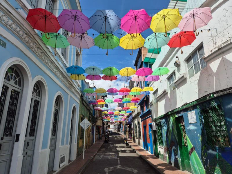 colombia - bogota - walking tour - umbrella