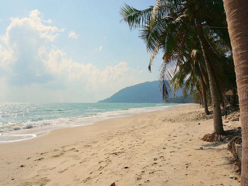 Zandstrand met rijen palmbomen langs de kust en een kalme zee, met heuvels op de achtergrond onder een deels bewolkte lucht.