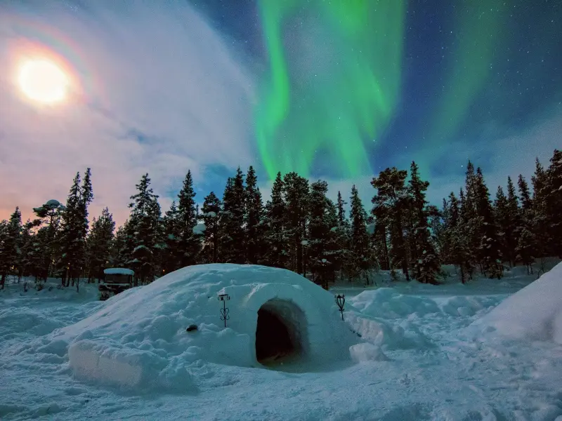 Een iglo in een besneeuwd landschap omringd door dennenbomen, met daarboven het noorderlicht dat groen door de nachtelijke hemel danst.