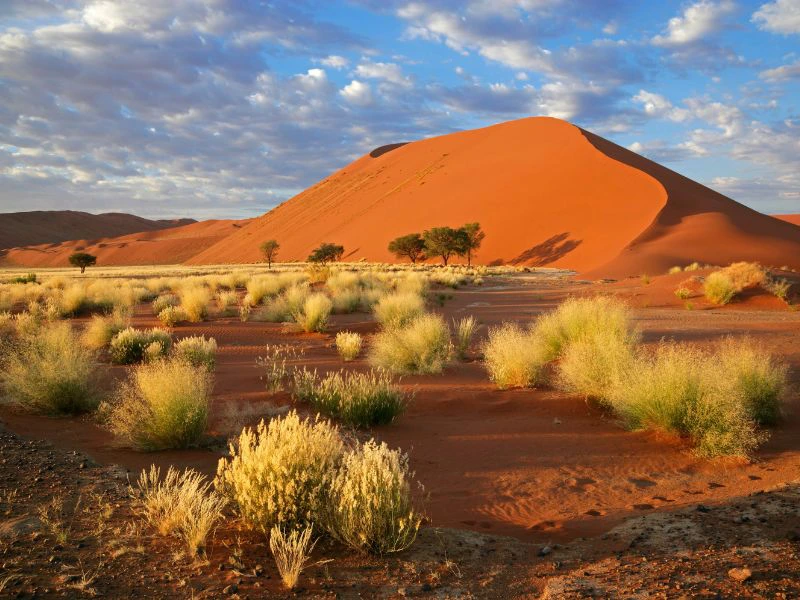 Sossusvlei
