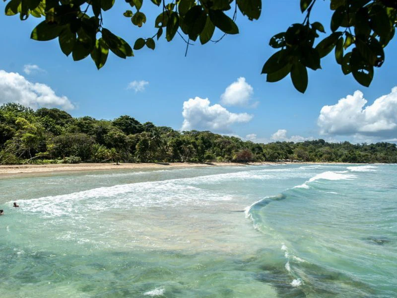 Rustig strand met helderblauwe golven en groene jungle op de achtergrond, gezien vanaf de schaduw van boombladeren