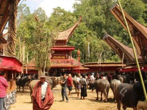 Traditionele ceremonie bij de Toraja-gemeenschap op Sulawesi, Indonesië, met mensen, waterbuffels en karakteristieke huizen met omhooggebogen daken.