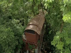 Boomhut Costa Rica