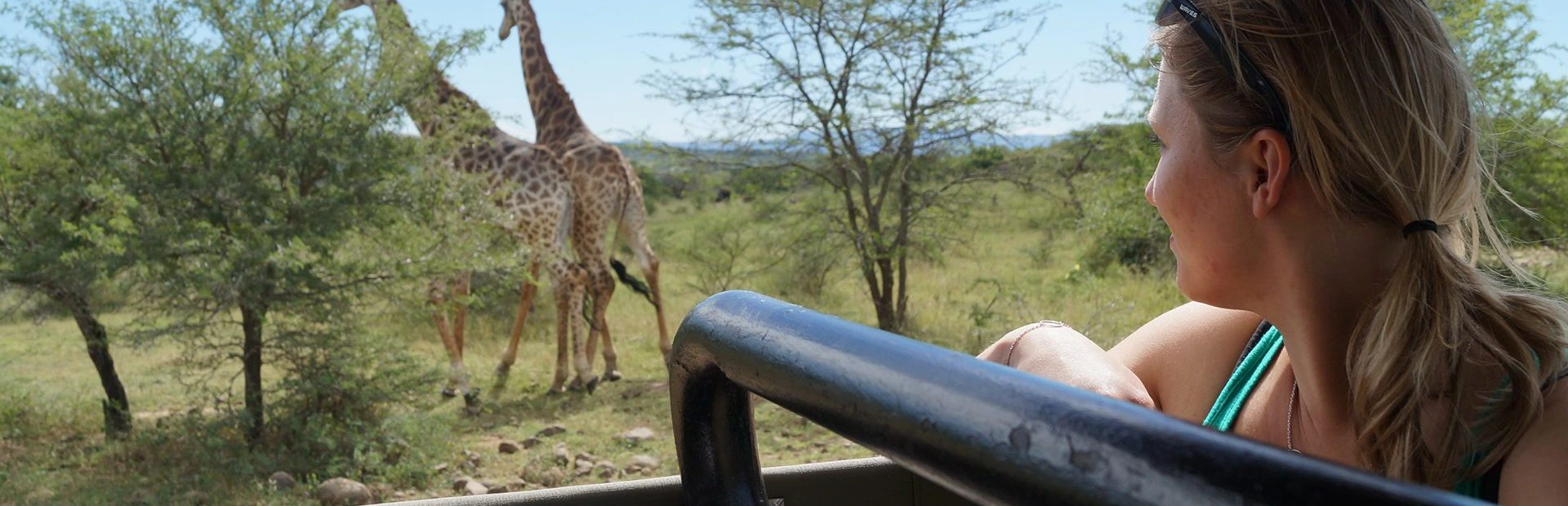 Vrouw in een safari-jeep kijkt naar twee giraffen die tussen de bomen staan in een savannegebied.