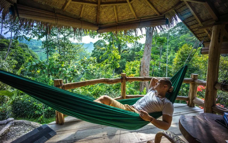 Man ligt ontspannen in een groene hangmat op een houten veranda met uitzicht op tropisch regenwoud. Vragen aan ChatGPT