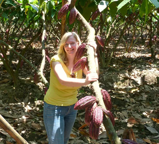 Vrouw tussen cacaobomen op een plantage, leunend tegen een boom met rijpe cacaovruchten.