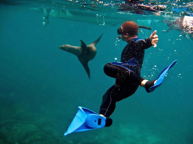 Snorkelaar zwemt onder water en maakt contact met een speelse zeeleeuw in helderblauw water.