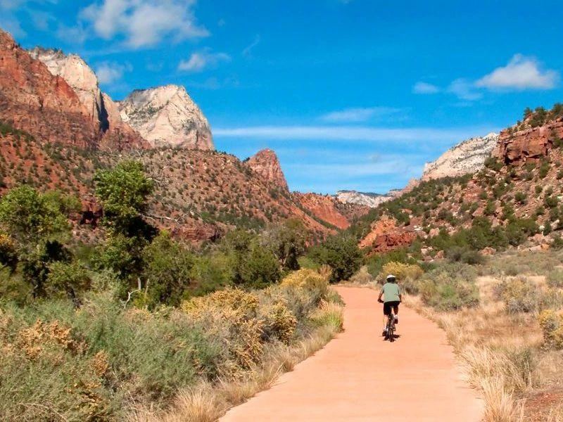 Fietser op een pad door een woestijnachtig landschap met rode rotsformaties en bergen in Zion National Park, Verenigde Staten.