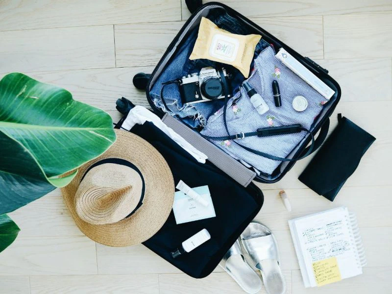 Open koffer met kleding, camera, zonnebrandcrème, hoed, sandalen en toiletartikelen, naast een notitieboek en een grote groene plant.