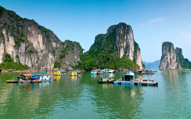 Vissersbootjes dobberen op het kalme water van Halong Bay in Vietnam, omringd door imposante kalkstenen rotsen die oprijzen uit de zee.