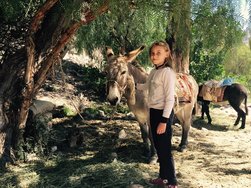 Argentinie familiereis