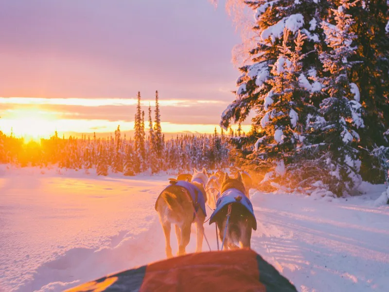 Een dik pak sneeuw, husky's en slapen in ijshotels