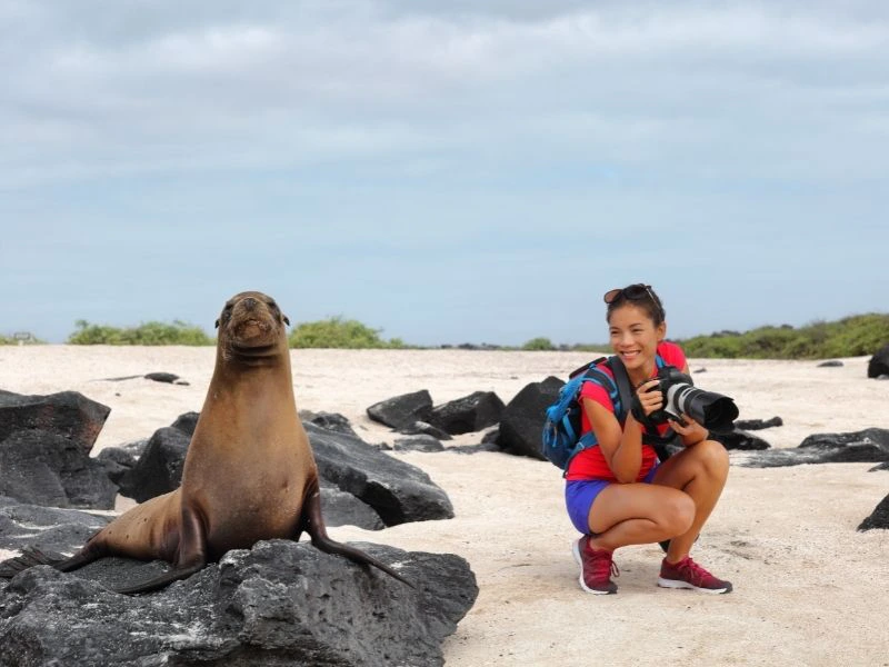 Vrouw met camera hurkt naast een zeeleeuw op een rotsig strand.