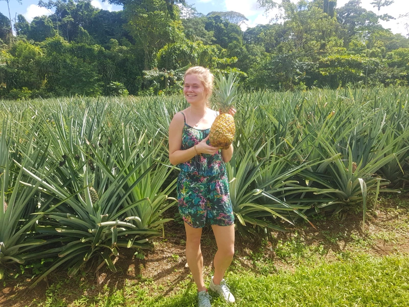 Vrouw in een zomerse jurk staat lachend op een ananasplantage en houdt een grote ananas vast.