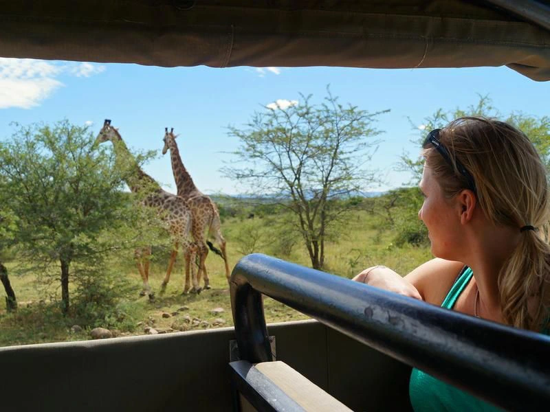 Vakantiebestemming Afrika Safari