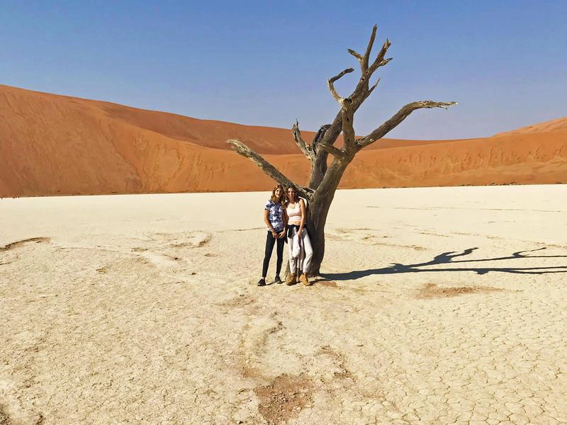 Skeleton Coast in Namibië