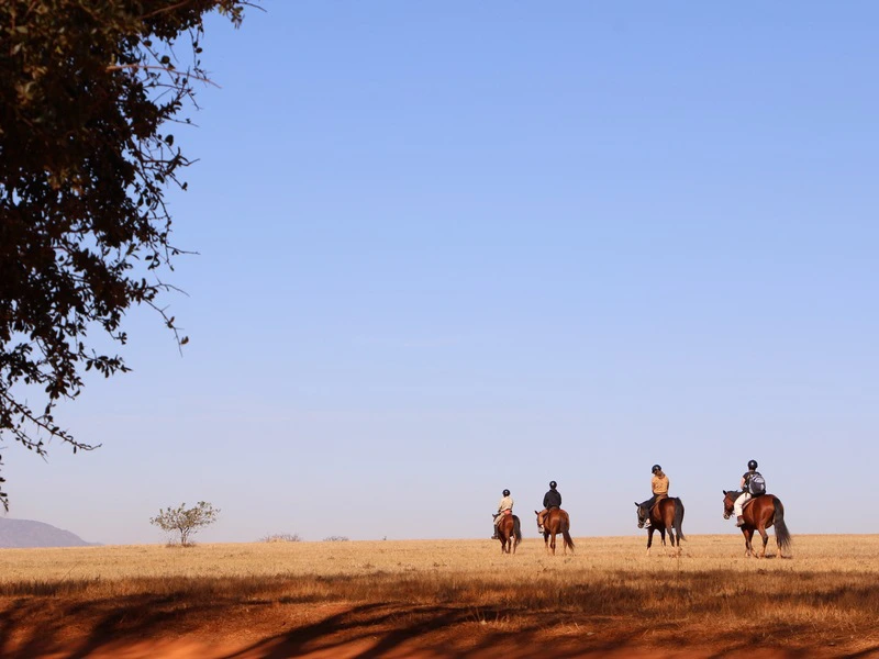 Milwane Park, eSwatini