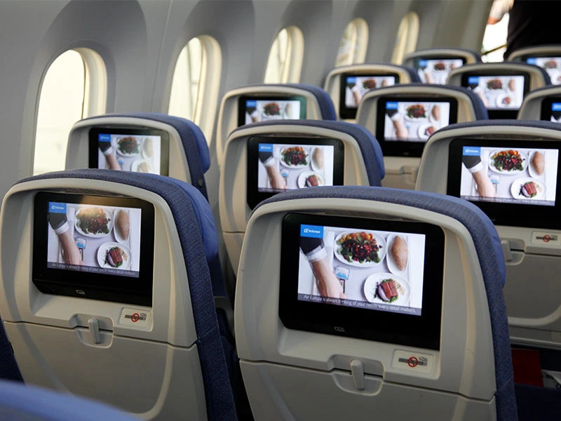 vliegtuig vliegen schermpjes