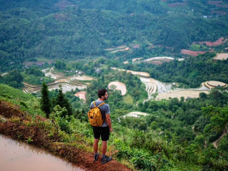 Vietnam rijstvelden