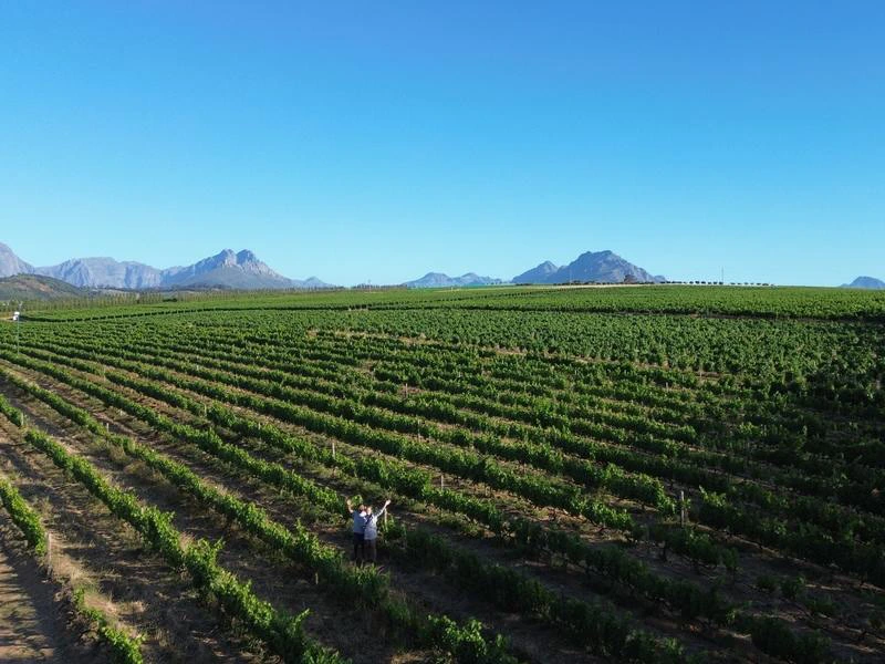 Zuid-Afrika Stellenbosch