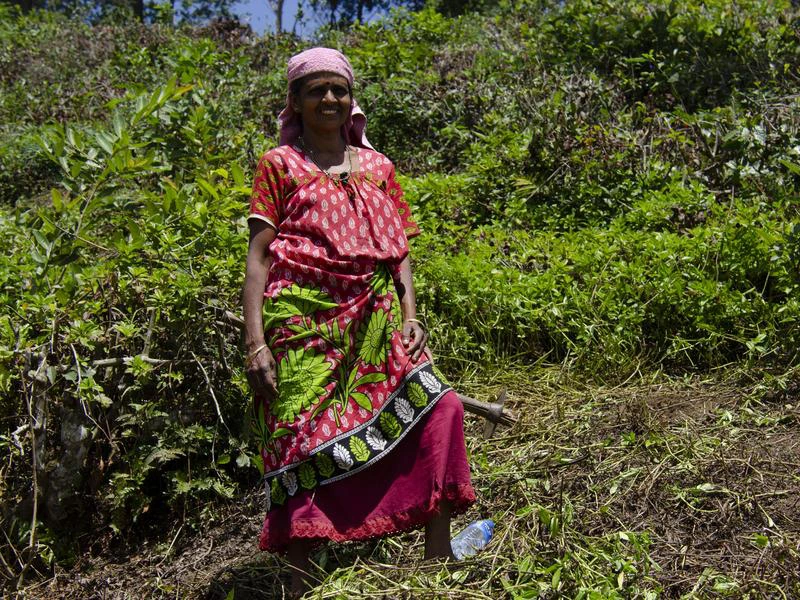 Sri lanka vrouw platteland