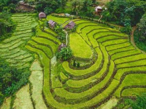 Thailand Chiang Mai