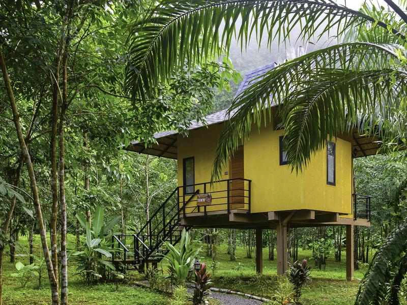 Jungle lodge in Khao Sok Thailand