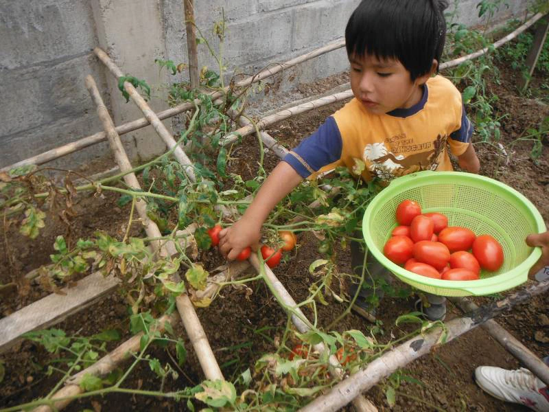 Kind in moestuin Peru