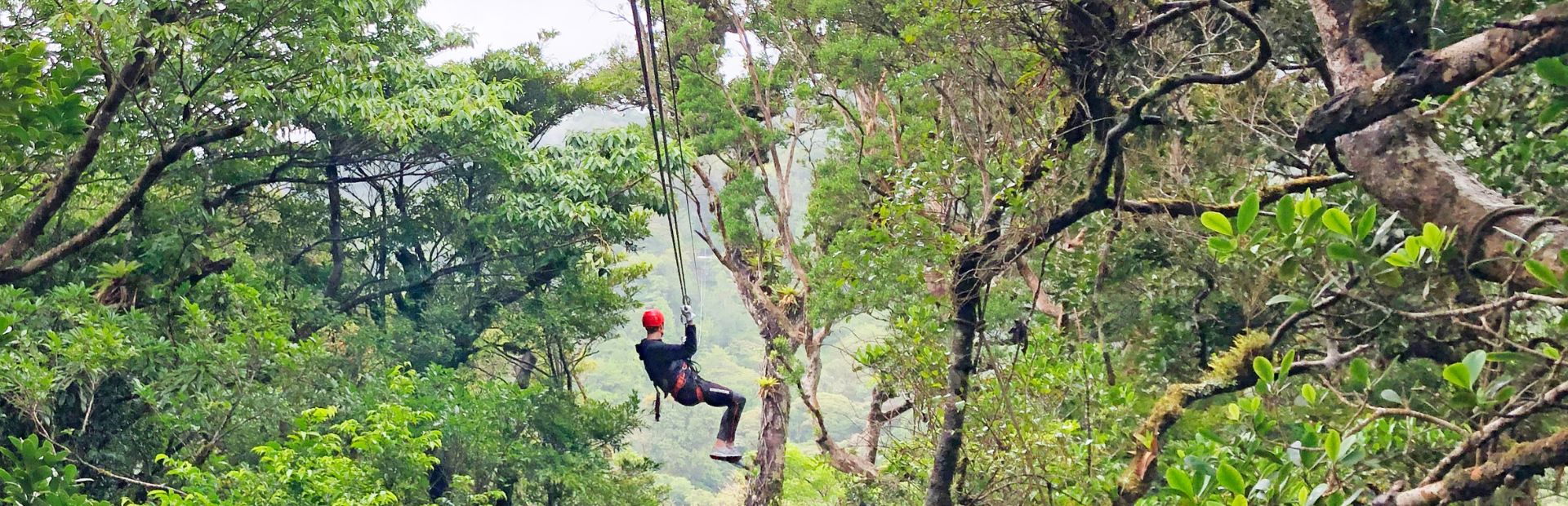 costa rica tokkelen bomen