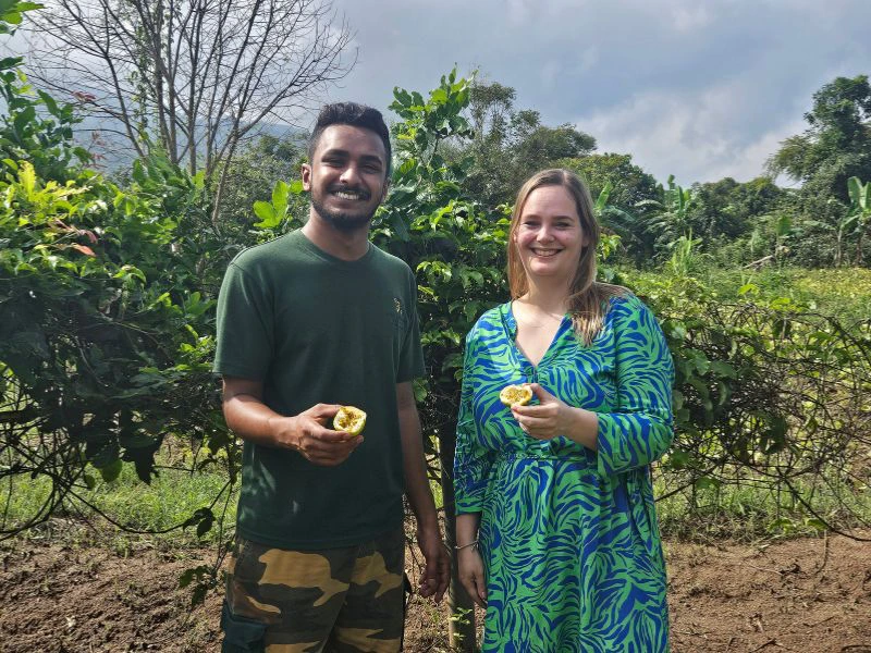 sri lanka gal oya passievrucht