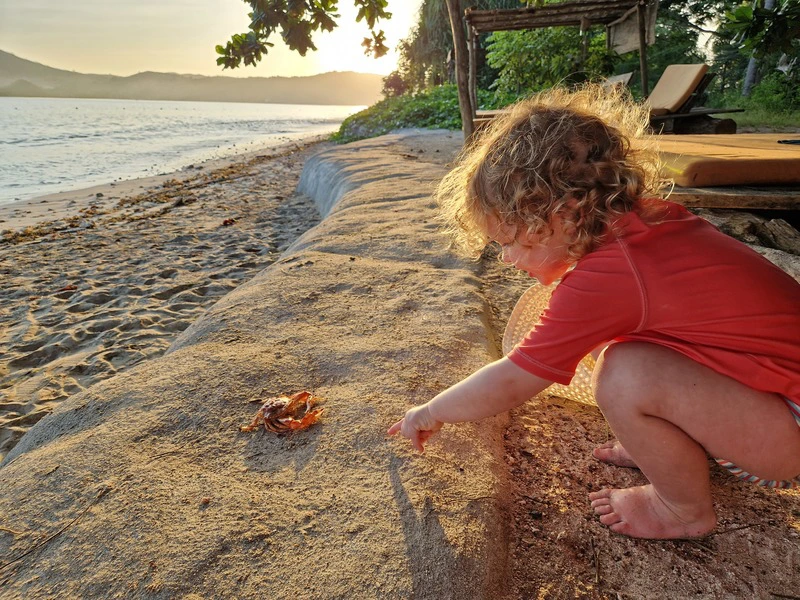 Peuter in rood shirtje bekijkt nieuwsgierig een krab op een muurtje aan het strand bij zonsondergang.