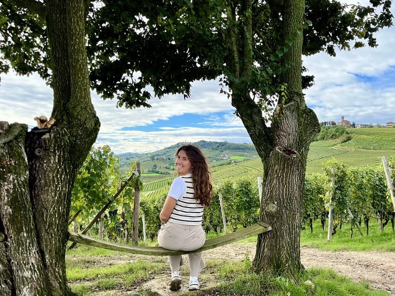 Italië wijnvelden Piemonte