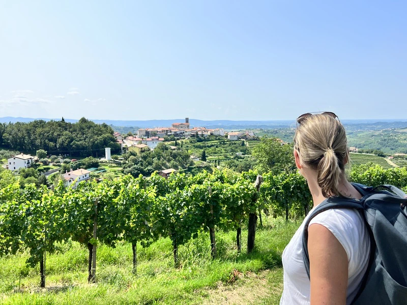 Vrouw met rugzak kijkt uit over een groene wijngaard richting een heuveldorp in de verte.