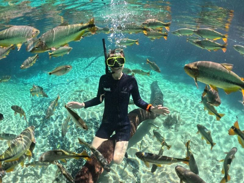 Onderwaterfoto van een snorkelaar bij het Great Barrier Reef in Australië. De persoon draagt een zwart wetsuit, een duikbril met snorkel en drijft boven een zandige zeebodem met helder turquoise water. Rondom zwemmen tientallen kleurrijke vissen met geel- en zilverkleurige vinnen. Op de achtergrond zijn stukken koraal en een grote, donkere rots- of boomstamstructuur te zien.