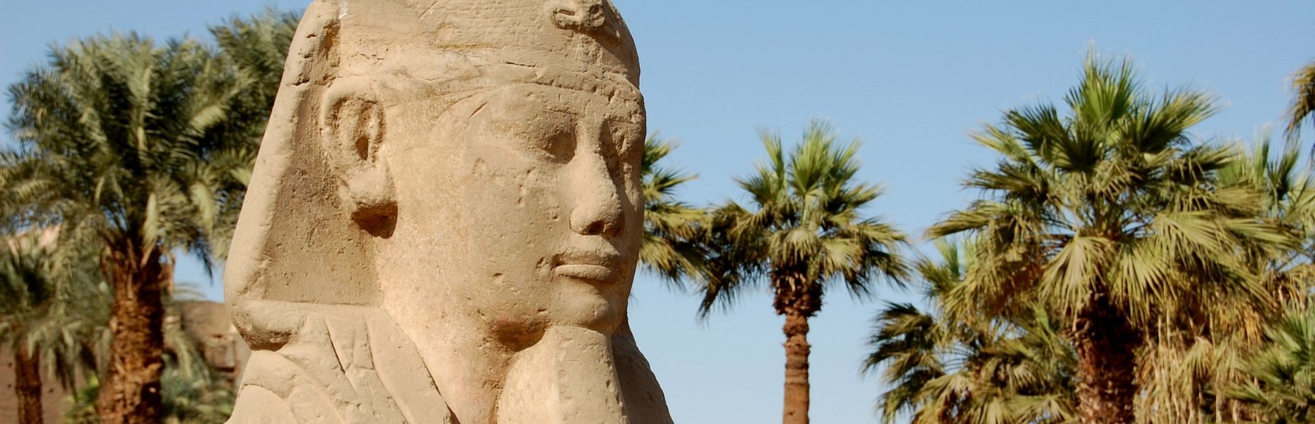 Een zandkleurig oud-Egyptisch standbeeld met palmbomen op de achtergrond onder een heldere blauwe lucht in Egypte.