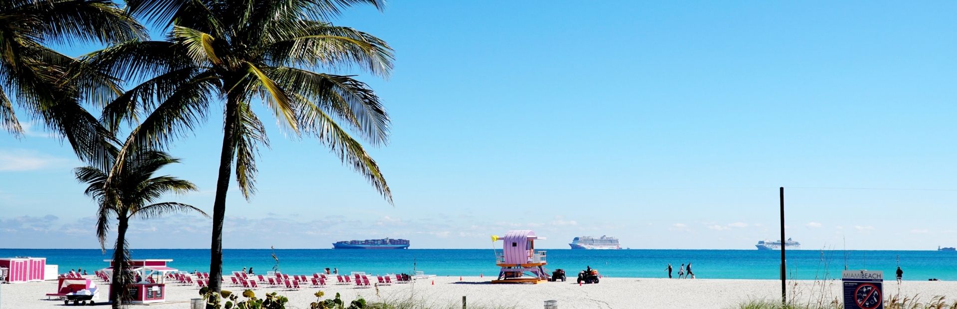 Strand in Florida met palmboom
