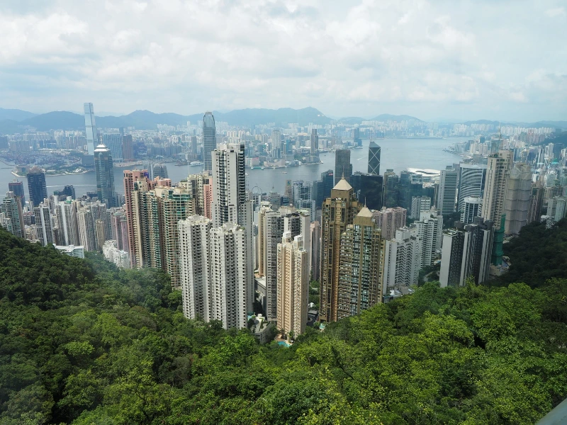 Uitzicht vanaf Victoria Peak in Hong Kong. Je ziet een zee van groene bomen op de voorgrond met daarachter de skyline van moderne gebouwen en flats op de achtergrond.