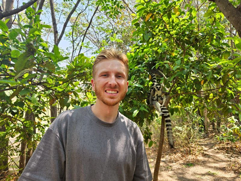 Madagaskar - Ambalavao - ringstaart maki's