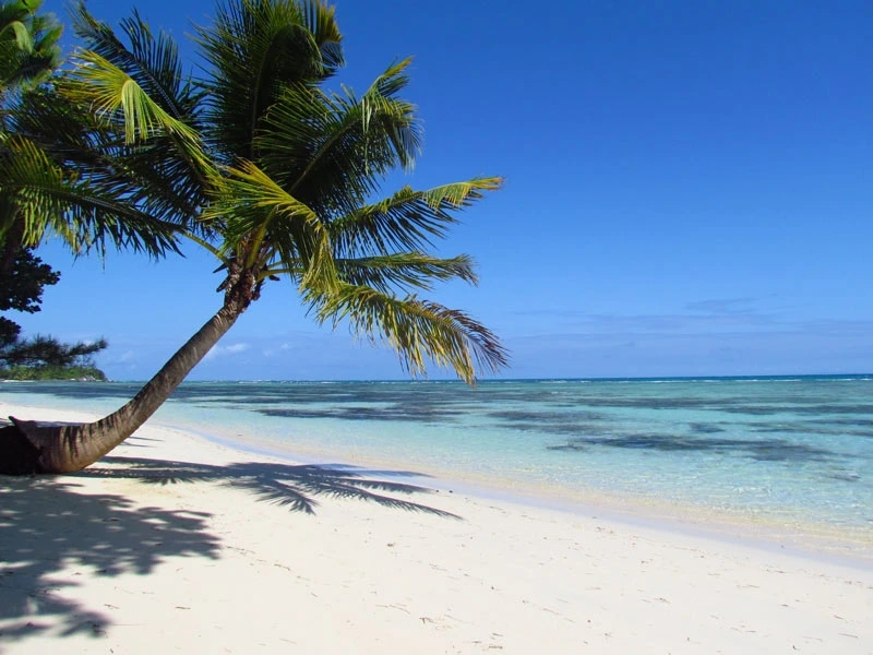 Madagaskar strand met palmbomen