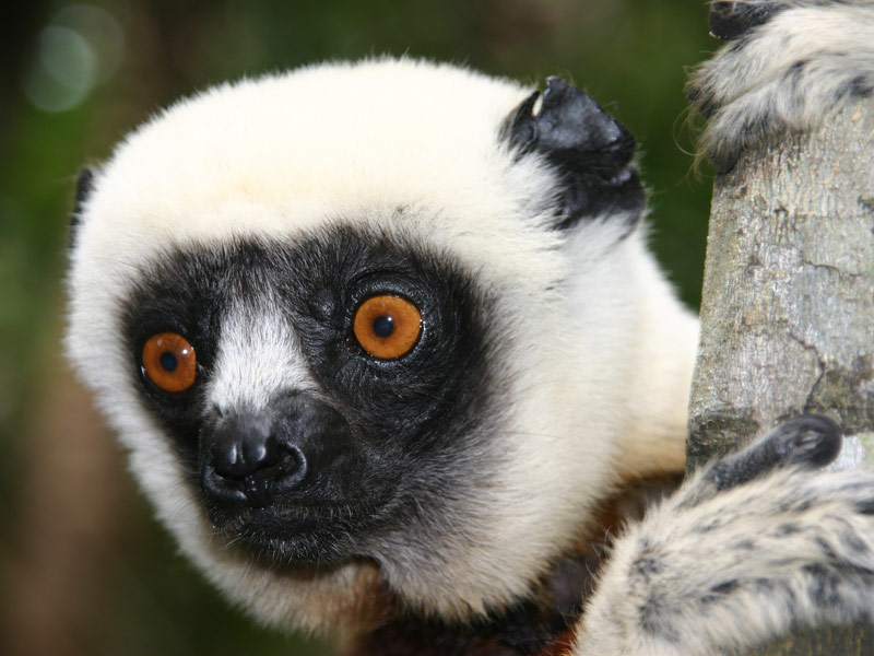 Madagaskar off the beaten track