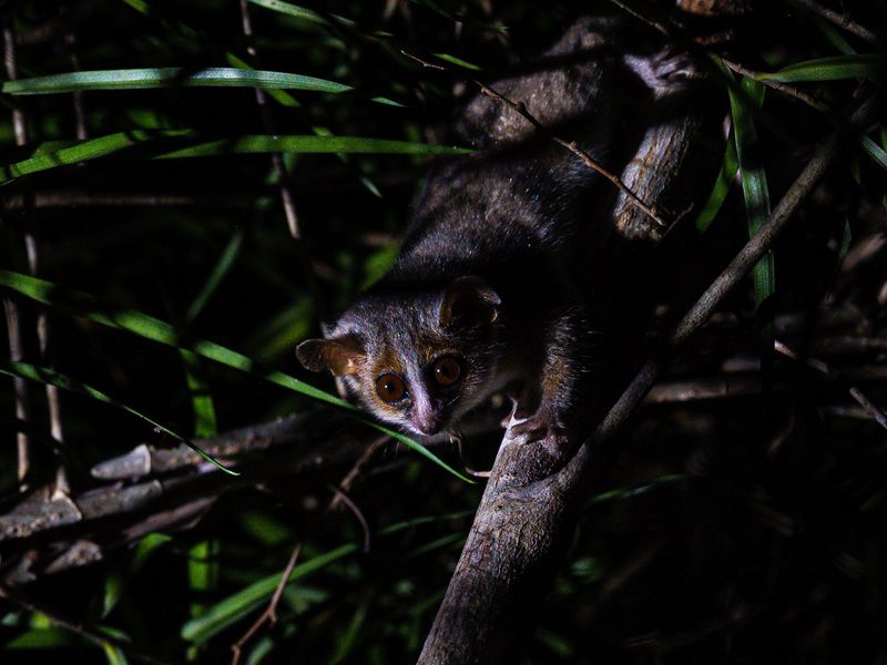 NH Bentota Ceysands Resort