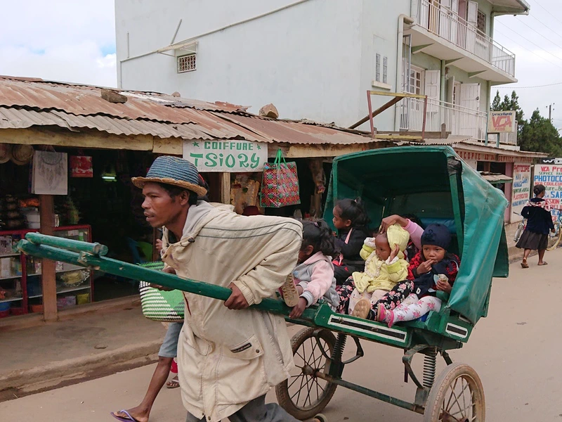 Madagascar pouse pousse