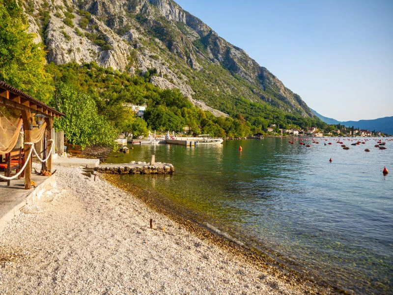 oesters kotor montenegro