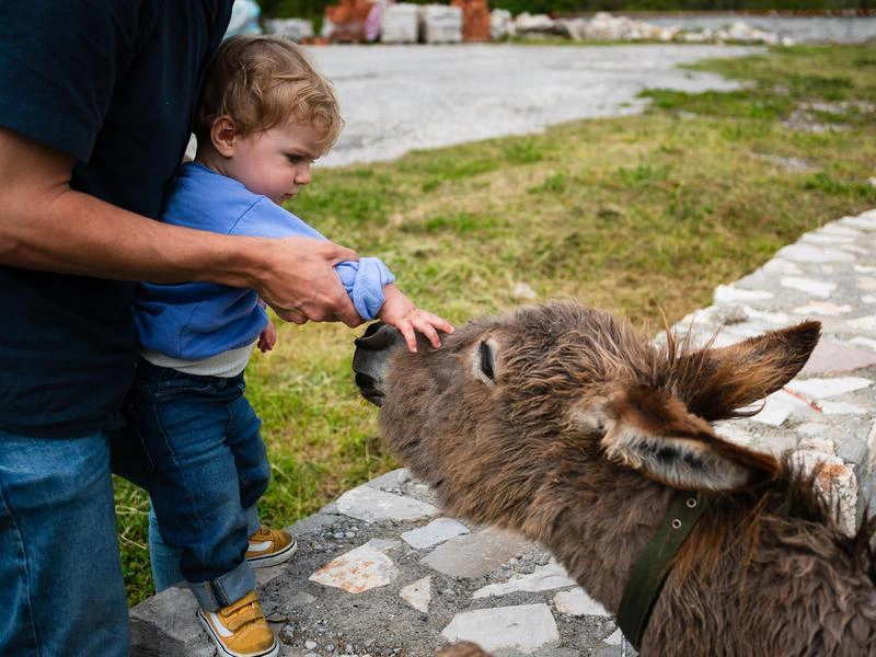 montenegro met gezin