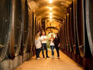 maribor wijnproeverij