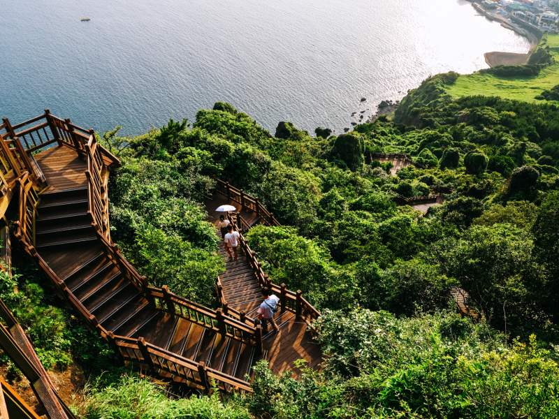 natuur op het Jeju-do eiland